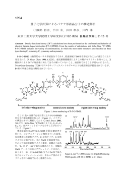 1P04 量子化学計算によるバナナ形液晶分子の構造解明 服部 将也