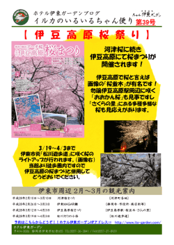 【 伊 豆 高 原 桜 祭 り 】