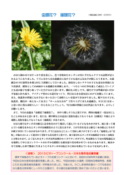 12月号 虫媒花？ 風媒花？