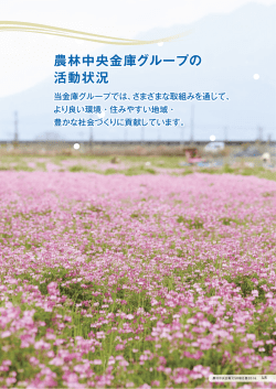 農林中央金庫グループの活動状況（2.61MB）