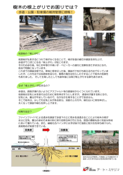 樹木の根上がりでお困りでは？