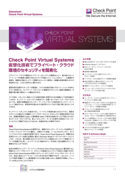 Check Point Virtual Systems