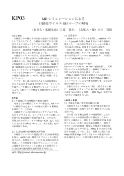KP03 MD シミュレーションによる 口蹄疫ウイルス GH ループの解析