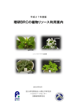 植物リソース利用案内 - Experimental Plant Division(RIKEN BRC)
