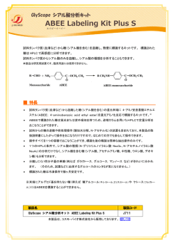 GlyScope シアル酸分析キット ABEE Labeling Kit Plus S