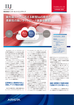 Internet Initiative Japan Case Study