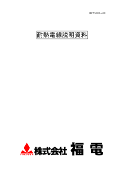 耐熱電線説明資料