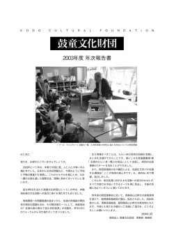 2003年度 年次報告書
