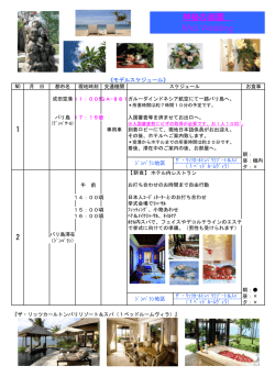 神秘の楽園 BALI Wedding