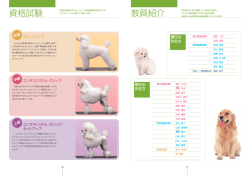 教員紹介 資格試験