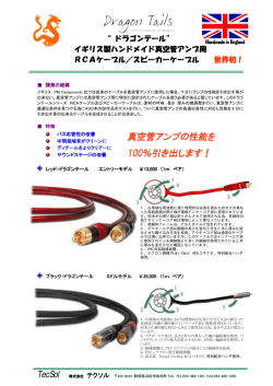 ドラゴンテールカタログ