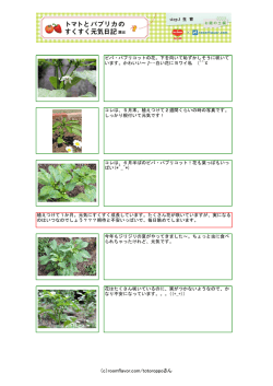 （c）roomflavor.com/totoroppoさん