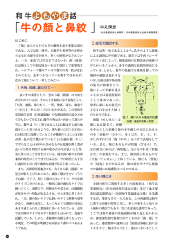 牛の顔と鼻紋 - 全国肉用牛振興基金協会