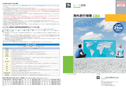 海外旅行保険 - エース保険の留学保険