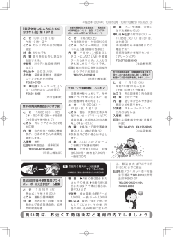 13ページ（PDF：603KB）