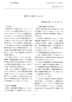 SEW と SPF について