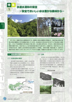 特集 1 水道水源林の保全