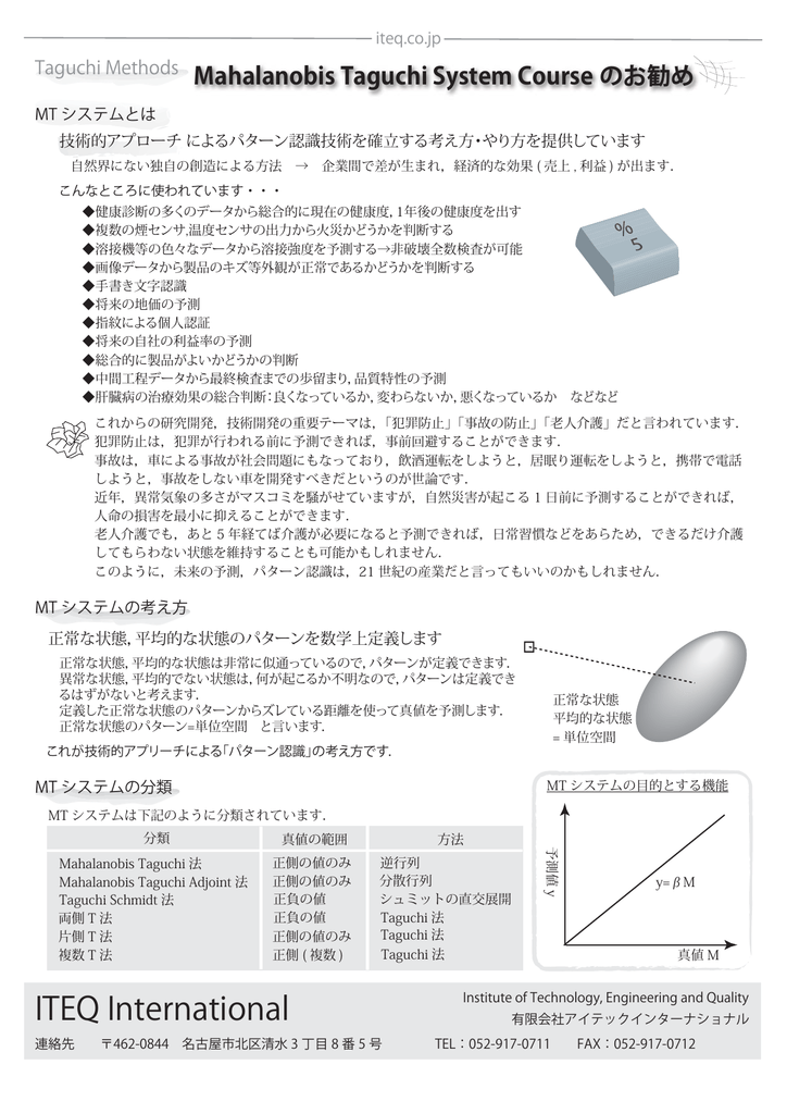 Mt System