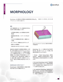 MORPHOLOGY
