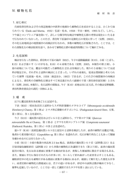 4.植物化石（植村和彦）(PDF文書)