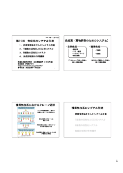 第19回講義プリント