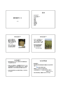 飼料稲WCS 目次 WCSとは？ WCSとは？ WCSの利点