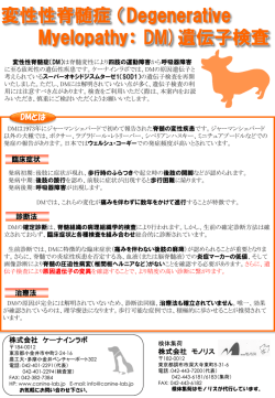 イヌ変性性脊髄症（DM