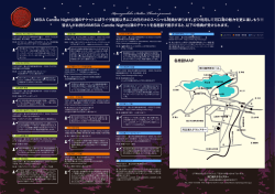 Kawaguchiko Stellar Theater presents