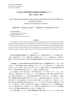 PDF（73KB） - 名古屋大学博物館