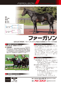 ファーガソン
