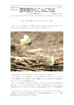 黒っぽいモンシロチョウ？