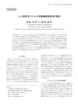 1. C 型肝炎ウイルス培養細胞感染系の確立