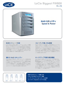 Biggest_FW800 Datasheet