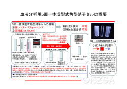 血液分析用5面一体成型式角型硝子セルの概要