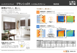 PowerPoint プレゼンテーション