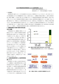 大豆不耕起狭条密植栽培における雑草防除について