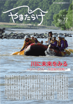 PDFダウンロード