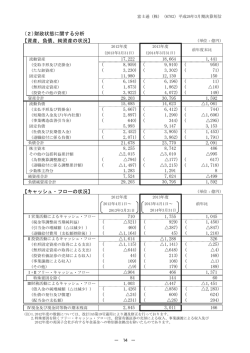 資産、負債、純資産の状況