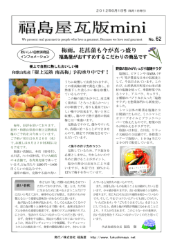 福島屋瓦版mini No.62