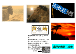 黄金崎は馬の様な形をしていま す。 岩肌が黄金色になっていて、この 色