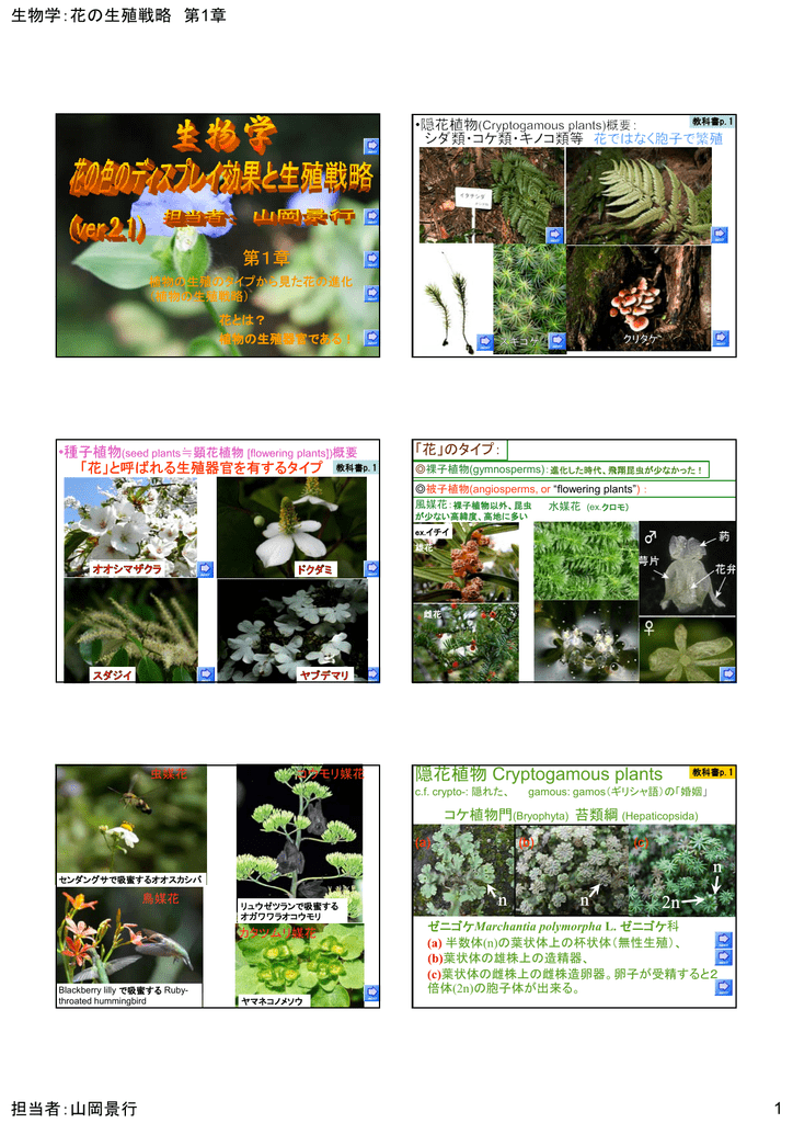 第1章 隠花植物 Cryptogamous Plants N N N 2n