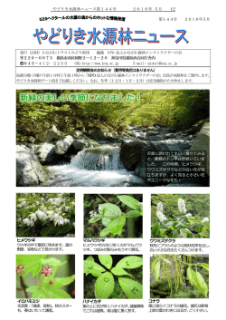 5月（144） - NPO法人 かながわ森林インストラクターの会
