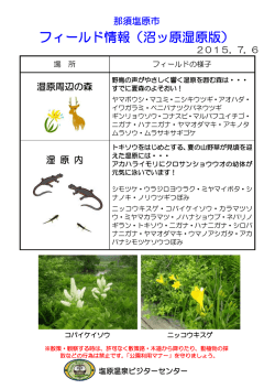 フィールド情報（沼ッ原湿原版）