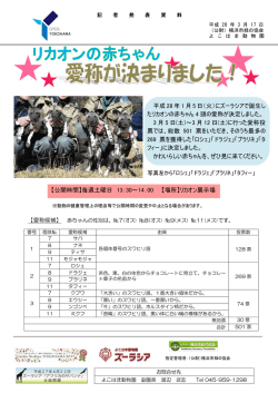 PDFファイルダウンロード - 公益財団法人 横浜市緑の協会