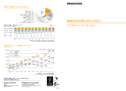BRIDGESTONE DATA 2014 （979KB）