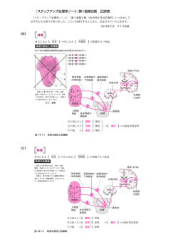 こちらをクリックしてください。