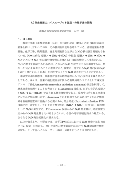 N2O 除去細菌のハイスループット識別・分離手法の開発