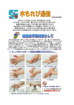 木もれび通信 2011年9月