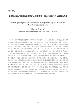 No.90_祖先型のNa+ 輸送体遺伝子による高塩分土壌