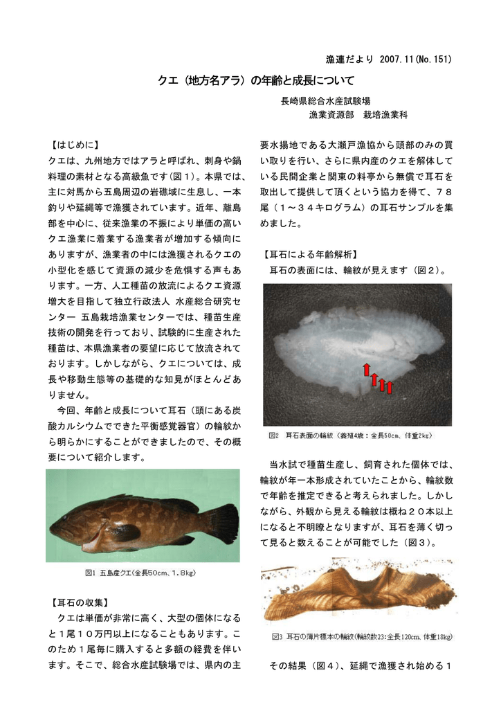 クエの年齢と成長 長崎県総合水産試験場